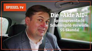 Krah, Höcke, Bystron: Der tiefe Fall der AfD | SPIEGEL TV