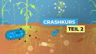 Crashkurs Zwischenfrucht – Teil 2