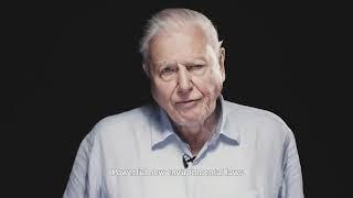 FILM Sir David Attenborough The Wildlife Trusts nature recovery