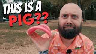 Floppiest Pig Disc Golf Has Seen?!?! Soft R-Pro Pig Review!!