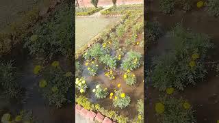 Beautiful garden youtube gyaan ka sagar youtube gyaan ka mandir youtube gyaan ka bhandar manoj dey