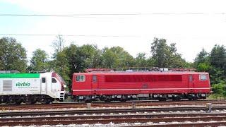 ICE-Umleiterverkehr in Meinsdorf und Dessau Hbf am 31.07.2024