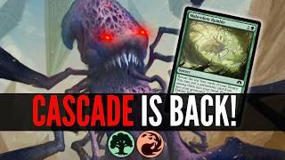 This Eldrazi Cascade Deck (G)RULES in MTG Pauper Leagues! (NOT PONZA)