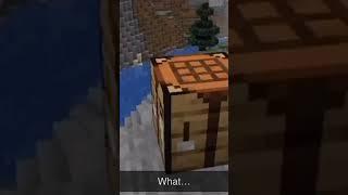 The furnace cheated #wtf #minecraft #minecraftmemes #sad #funny