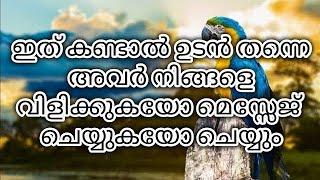 അവരുടെ മനസ്സിൽ നിങ്ങളെ കുറിച്ച് എന്താണ് ചിന്ദിക്കുന്നത് എന്നറിയാം വീഡിയോ കാണുക ️️#love #feeling