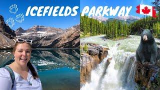 The BEST of the ICEFIELDS Parkway in Banff & Jasper