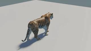 Rigged tiger 3d model