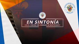 En Sintonia 342 - Mariela Leon and Carlos Cortes-Vazquez