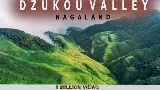 Dzukou Valley | Northeast India : Nagaland