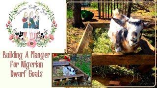 How To Build An EASY Hay Feeder For Nigerian Dwarf Goats | DIY Manger For Goats