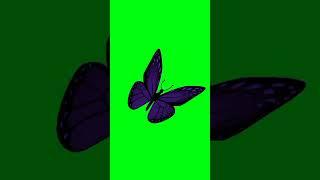 Flying butterfly/ udtihui titli ki green screen video #cartoonshorts #flyingbutterflycartoonvideo