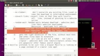 Download Mirror Website Using GNU Wget