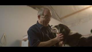 Purolator Was Here - Canada 150 Stories: K-9 Orthotics & Prosthetics