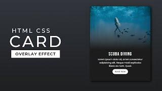 Responsive CSS Cards with Hover Overlay Animation