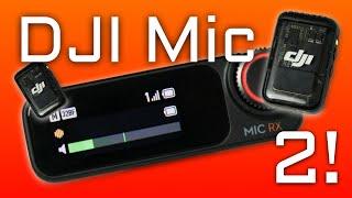 DJI Mic 2 Review vs. RODE Wireless PRO! | Curtis Judd