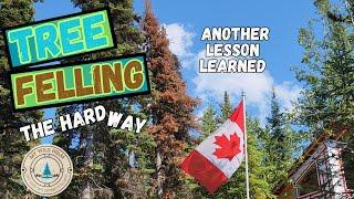 We Try Tree Felling - the Hard Way | S2 Ep24