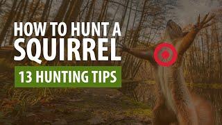 How To Hunt A Squirrel - 13 Hunting Tips