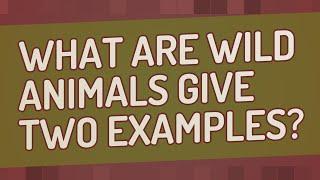 What are wild animals give two examples?