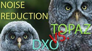 MUST WATCH DENOISE METHOD  |  Topaz Denoise AI VS. DXO Pure Raw