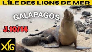 636 d10/14 Share our 14 days in the Galapagos: arrival on San Cristobal Island