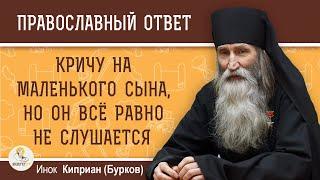 КРИЧУ НА СЫНА, но он всё равно НЕ СЛУШАЕТСЯ. Инок Киприан (Бурков)