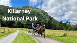 Ireland  Killarney National Park