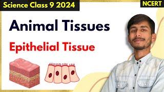 Epithelial Tissues | Easy Explanation | Animal Tissues Class 9th Science