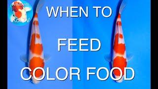 WHEN TO FEED YOUR KOI COLOR FOOD ? | KOI TV