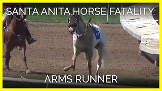 Horse fatality at Santa Anita - Arms Runner March 31, 2019