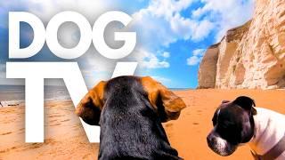 GoPro DogTV | 5hrs of Scenic Beach Walks With Calming Ocean Sounds  From Dog POV