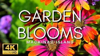 THE MOST BEAUTIFUL GARDENS IN THE WORLD! - Stunning Flower Gardens & Peaceful Music Mackinac Island