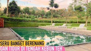 RESORT DI TENGAH KEBUN TEH BUAT KELUARGA-TEMAN DEKAT BANDUNG | TEA GARDEN RESORT #jalanjalanekarizal