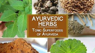 Ayurvedic Herbs, The Tonic Superfoods of Ayurveda
