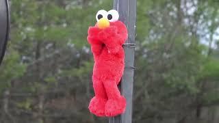 Elmo Screaming