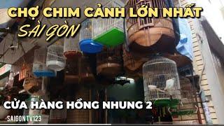 Vào cửa hàng chim cảnh Hồng Nhung 2, chợ chim cảnh thú cưng lớn nhất Sài Gòn