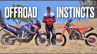 Why every ADV rider needs a dirt bike