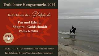 45 - Pur und Edel -Ostsee- Wallach v. Shapiro - Goldschmidt *2018