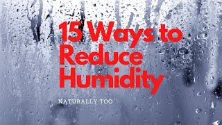 15 Ways to Reduce Humidity in Your House