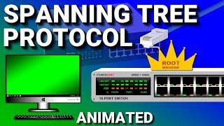 Spanning Tree Protocol | CCNA - Explained