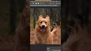 Clone Stamp Trick Shorts Photoshop Tutorial