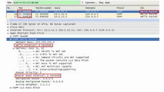 OSPF Fast Hellos