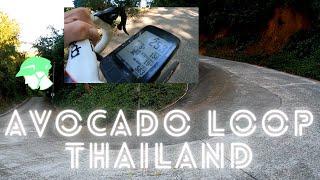 Steep, steeper, avocado loop | Thai mountains by road bike | Chiang Mai 