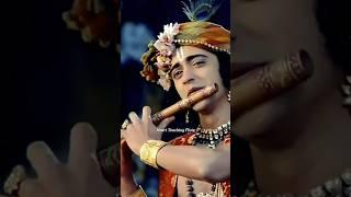 Heart Touching Krishna Flute | Radha Krishna status #krishna #flute #shorts #radha #viralvideo