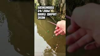 Mancing ikan 24 jam baru dapat #mancing #mancingmania #fishing #trending