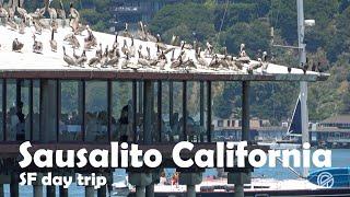 Sausalito , CA day trip from SF  4K