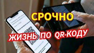 Жизнь по QR коду или Запрет на проезд в общественном транспорте