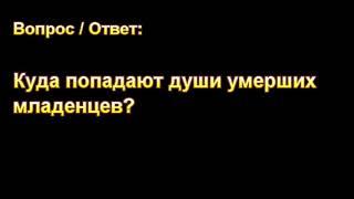 Куда попадают души умерших младенцев? МСЦ ЕХБ.