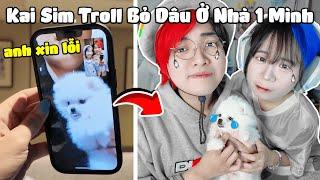 Kairon Và Mèo Simmy TROLL Bỏ BÉ DÂU Ở NHÀ 1 MÌNH Và CÁI KẾT BẬT KHÓC !!