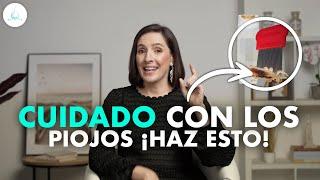  Como eliminar PIOJOS y LIENDRES @drapilarochoa - Dermatologa