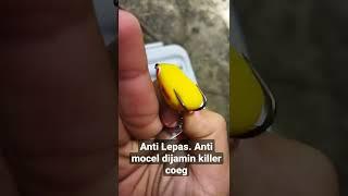 Cara Anti Mocel Lepas Mancing casting Ikan Gabus Haruan Umpan SoftFrog Kodok-kodokan Modifikasi